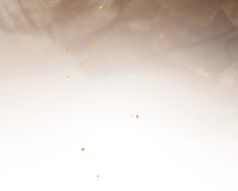 Read The Flower with a Sword Manga Online