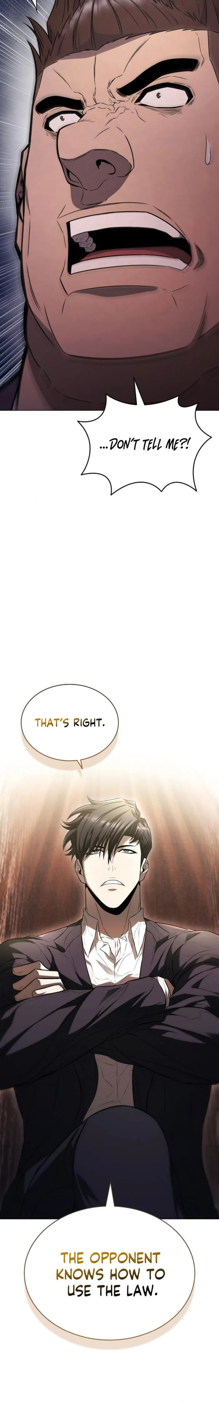 Read The Former Mercenary’s Life as a Prosecutor Manga Online