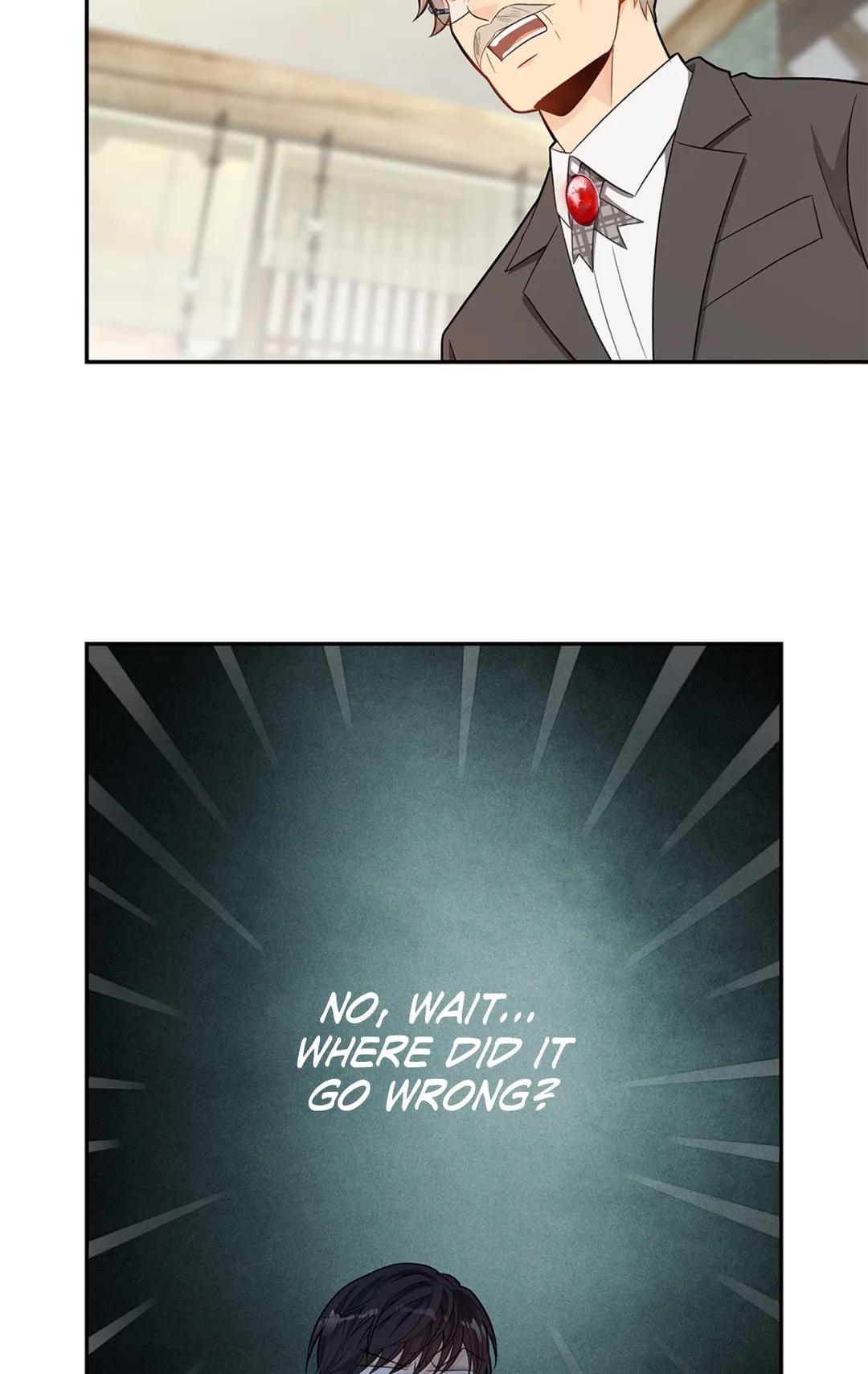 Read The Fox's Thief Marriage Manga Online