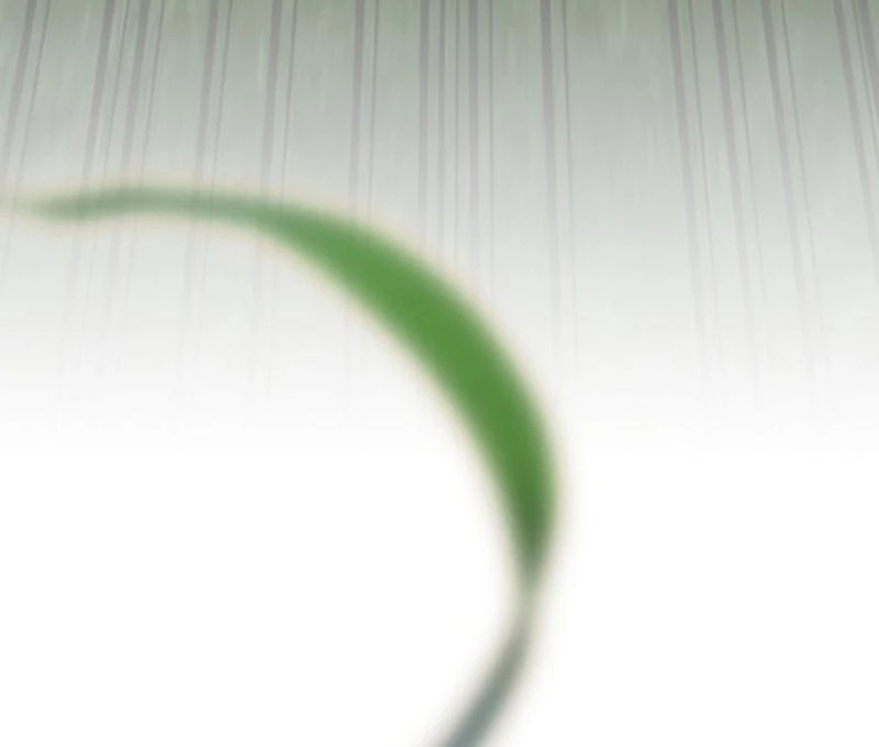 Read The Genius Midfielder’s Passes are Special Manga Online