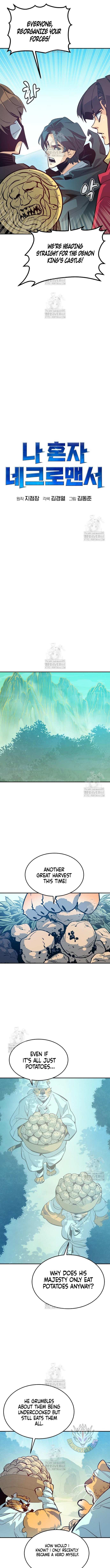 Read The Lone Necromancer Manga Online