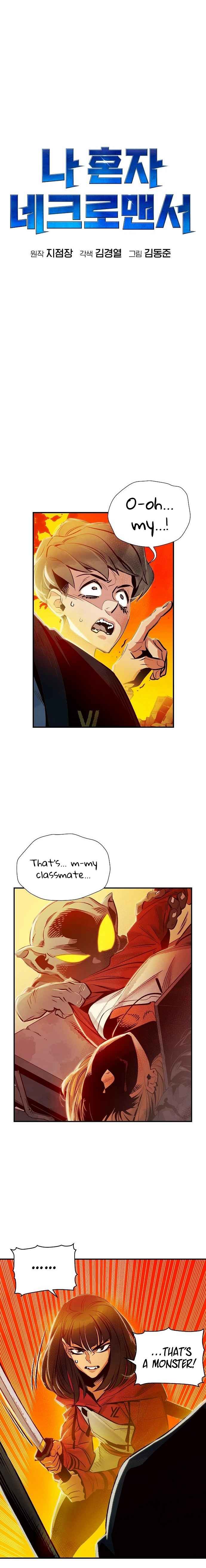 Read The Lone Necromancer Manga Online