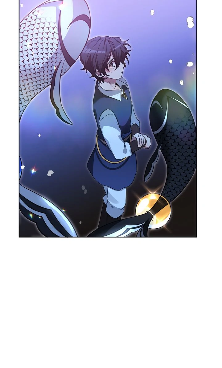 Read The Lone SSS-Class Summoner Manga Online