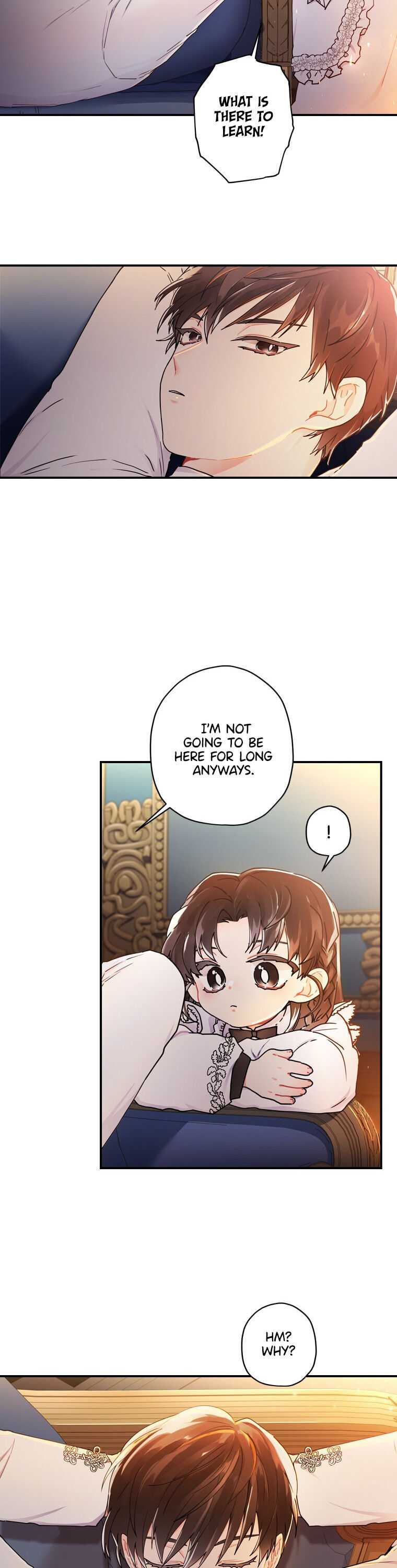 Read The Male Lead's Little Lion Daughter Manga Online