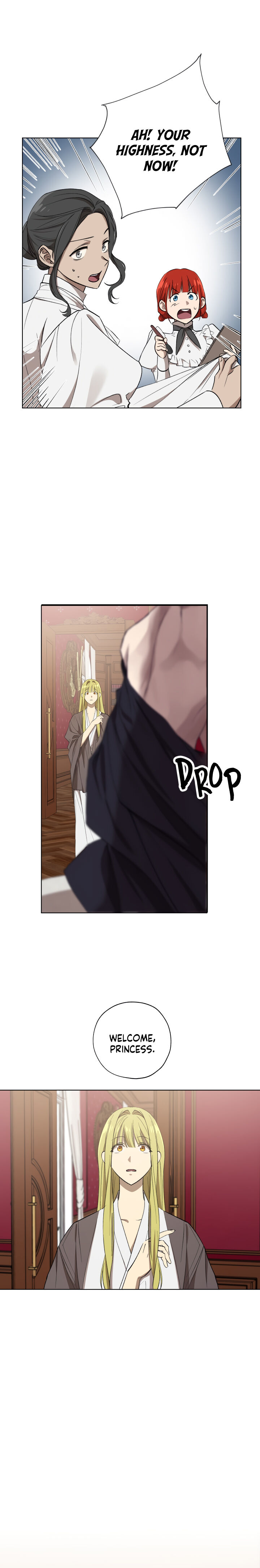 Read The Princess Imprints A Traitor Manga Online
