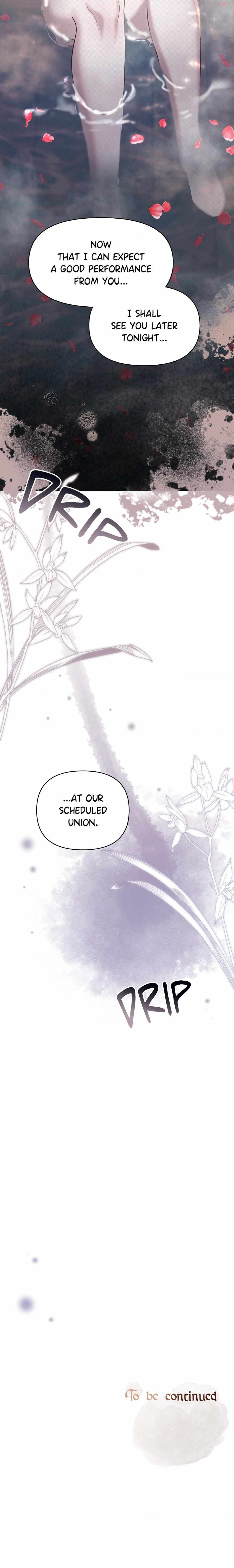 Read The Queen’s Secret Lessons Manga Online