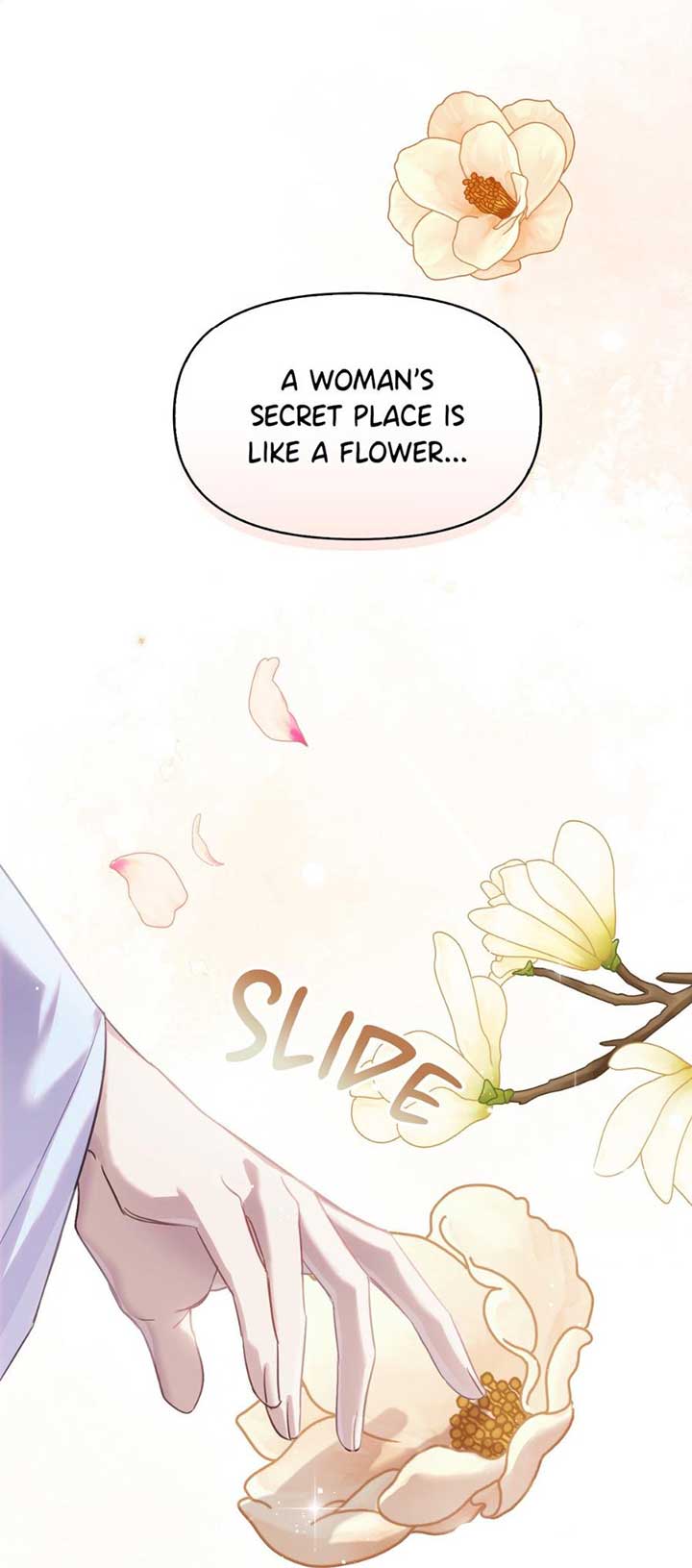 Read The Queen’s Secret Lessons Manga Online