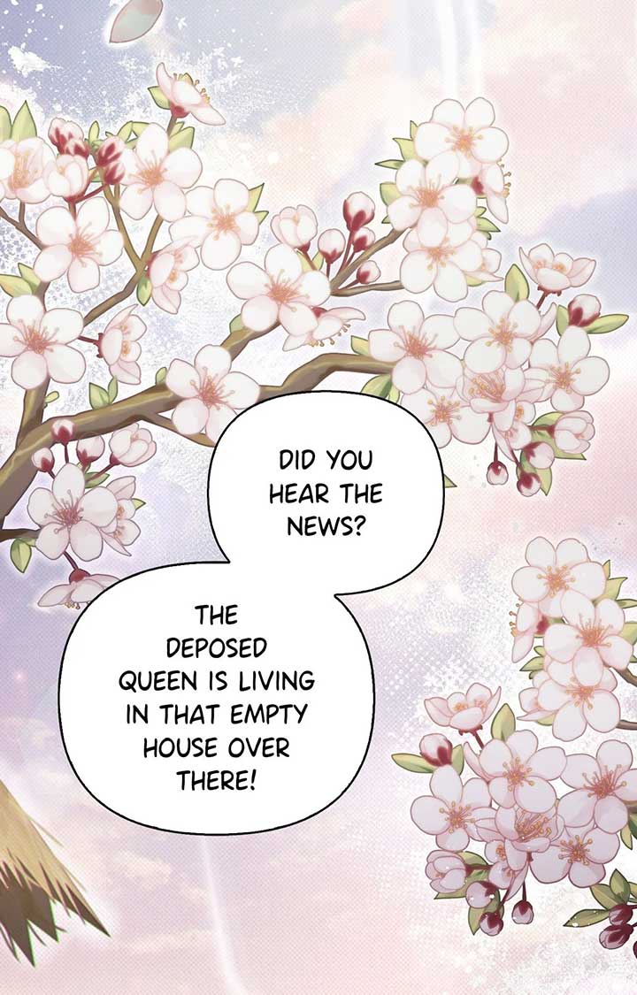 Read The Queen’s Secret Lessons Manga Online