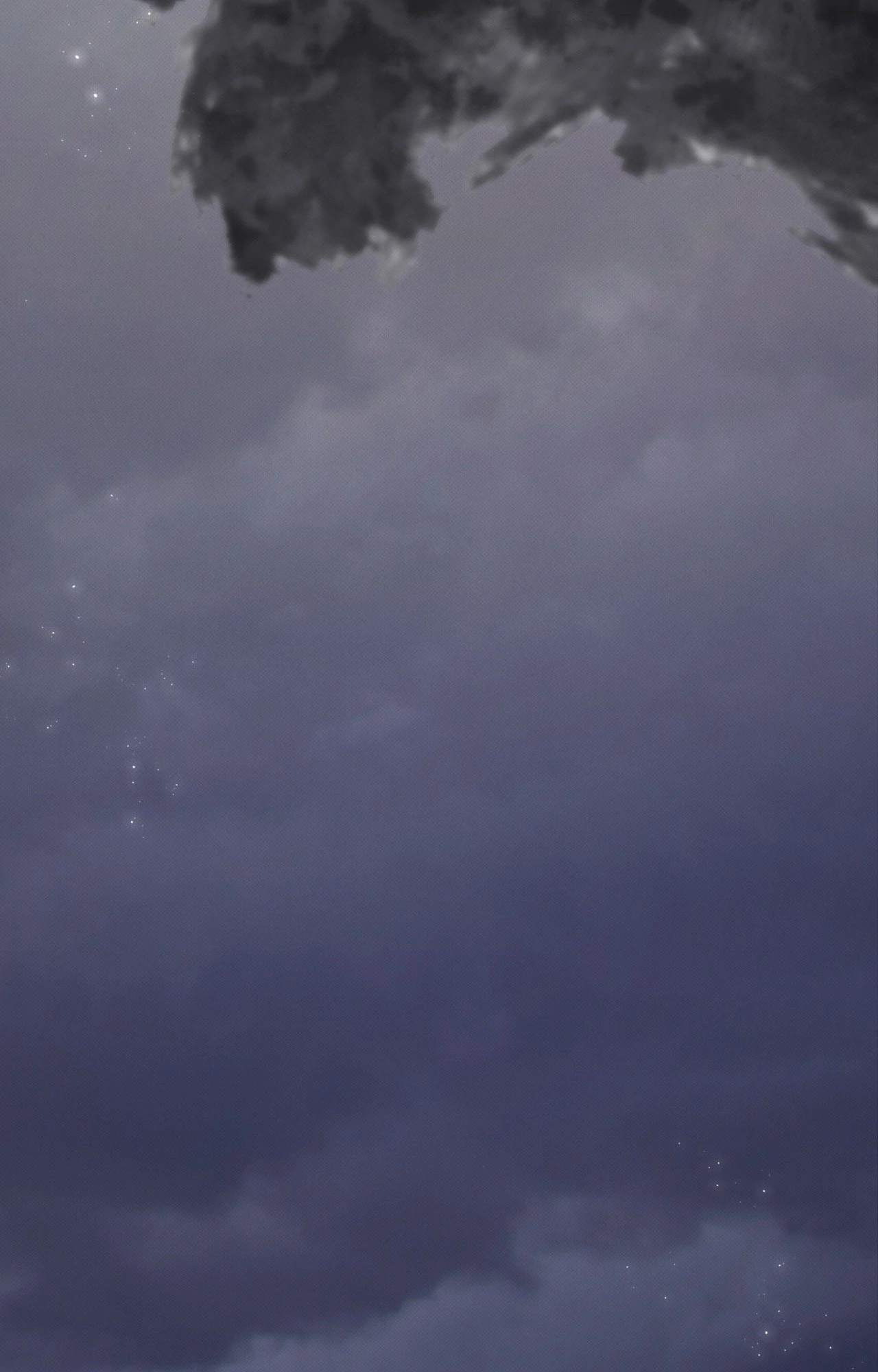 Read The Queen’s Secret Lessons Manga Online