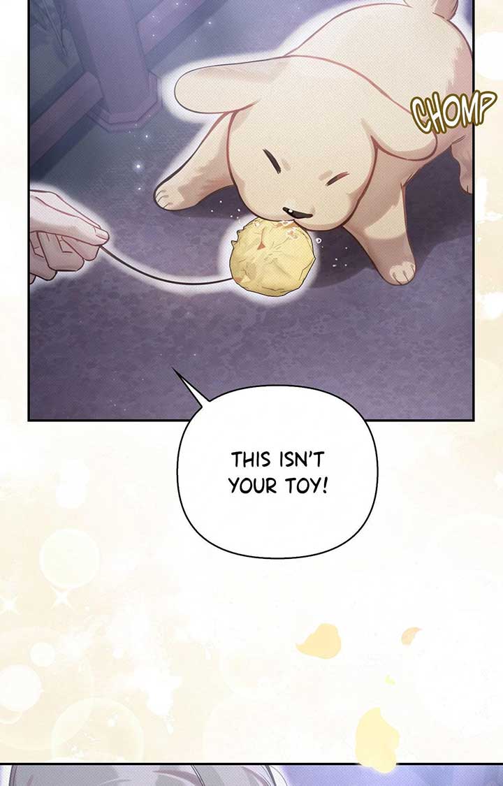 Read The Queen’s Secret Lessons Manga Online