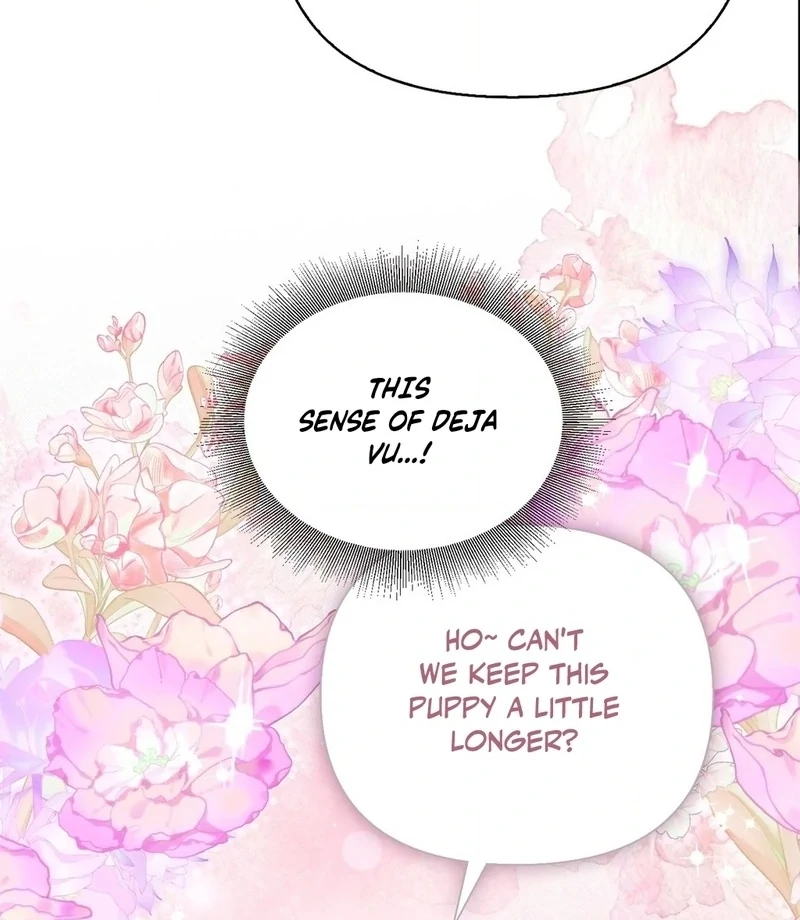 Read The Queen’s Secret Lessons Manga Online