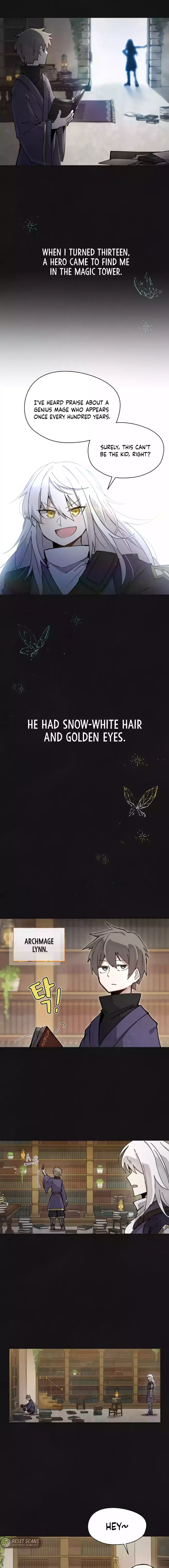 Read The Rebirth of the Hero’s Party’s Archmage Manga Online