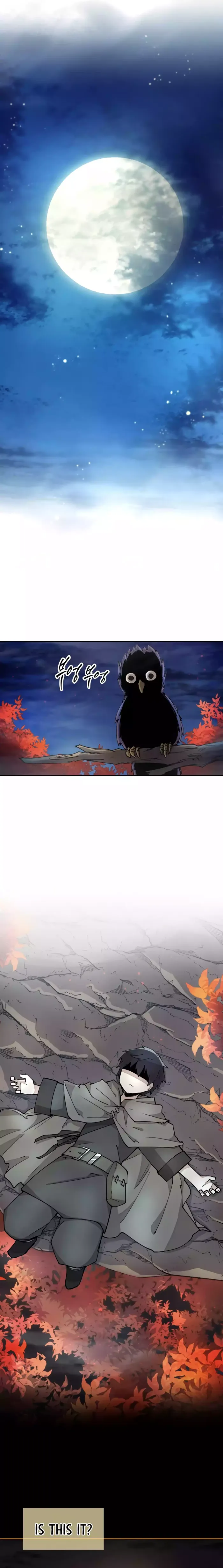 Read The Rebirth of the Hero’s Party’s Archmage Manga Online