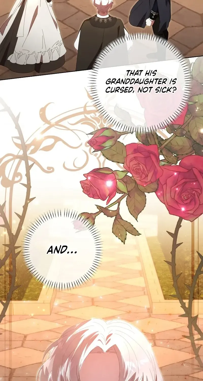 Read The Reincarnation of the Duke’s Daughter Manga Online