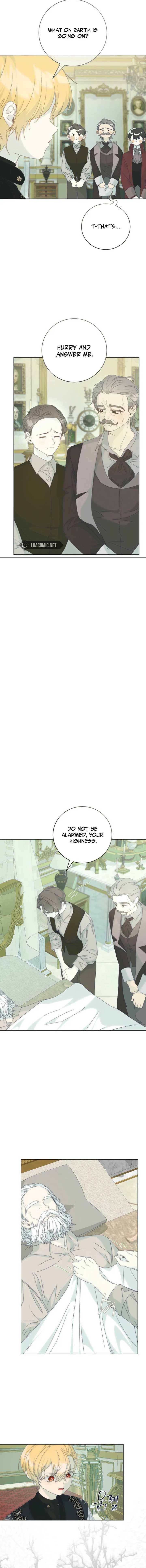 Read The Reincarnation of the Duke’s Daughter Manga Online