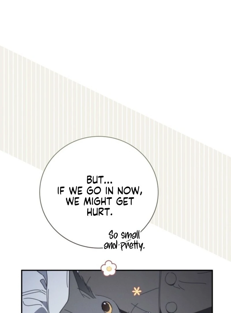 Read The Reincarnation of the Duke’s Daughter Manga Online