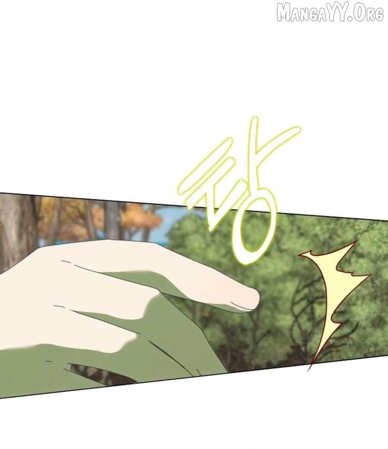 Read The Reincarnation of the Duke’s Daughter Manga Online