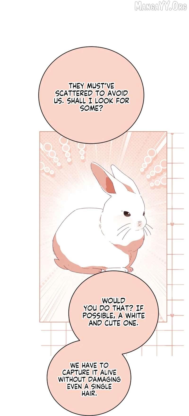 Read The Reincarnation of the Duke’s Daughter Manga Online