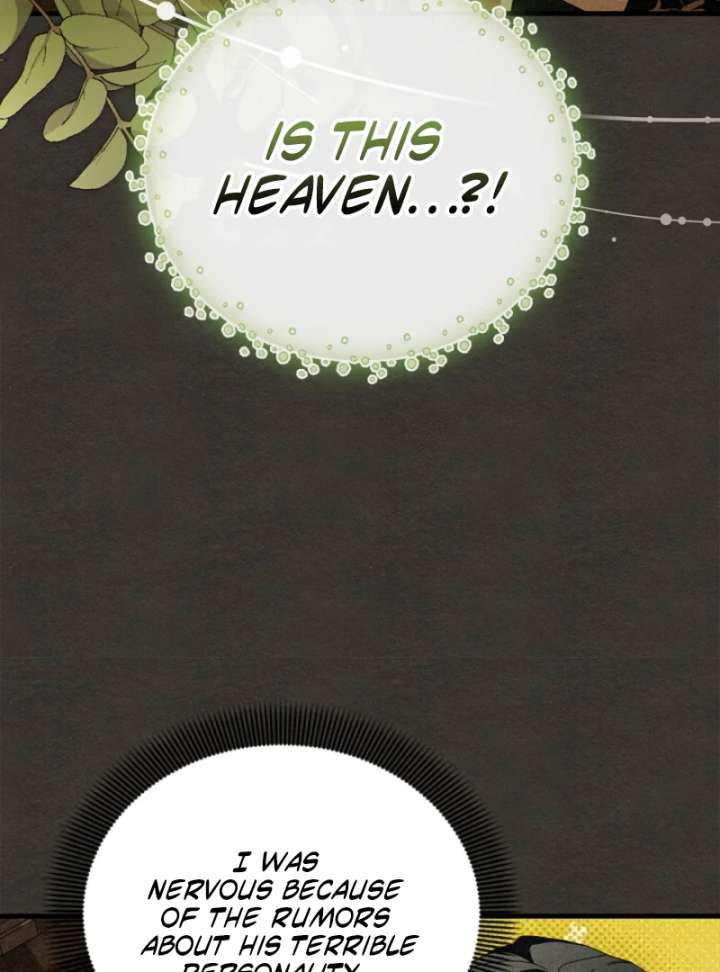Read The Runaway Countess Has Returned Manga Online