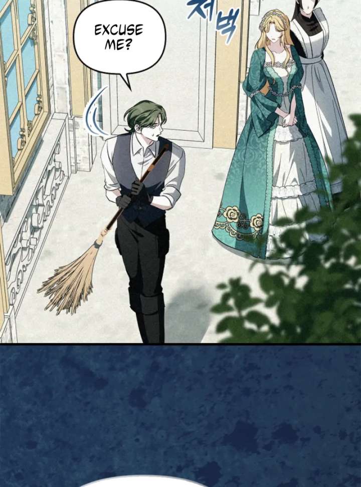 Read The Runaway Countess Has Returned Manga Online
