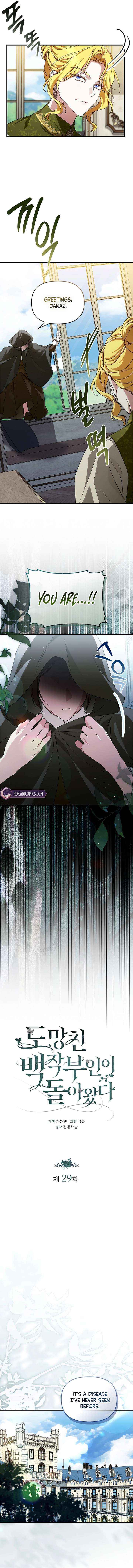 Read The Runaway Countess Has Returned Manga Online