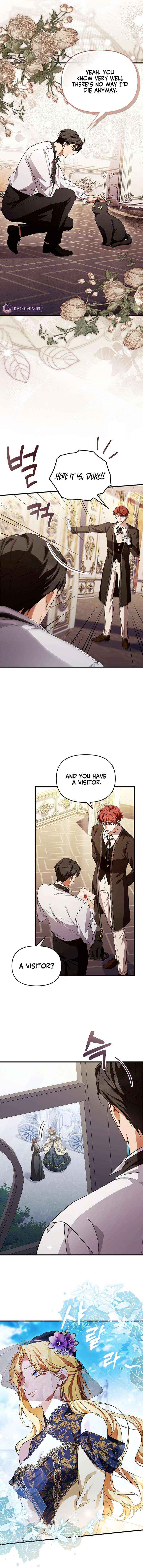 Read The Runaway Countess Has Returned Manga Online