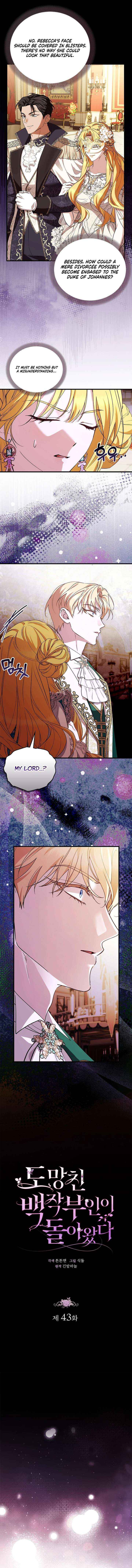 Read The Runaway Countess Has Returned Manga Online