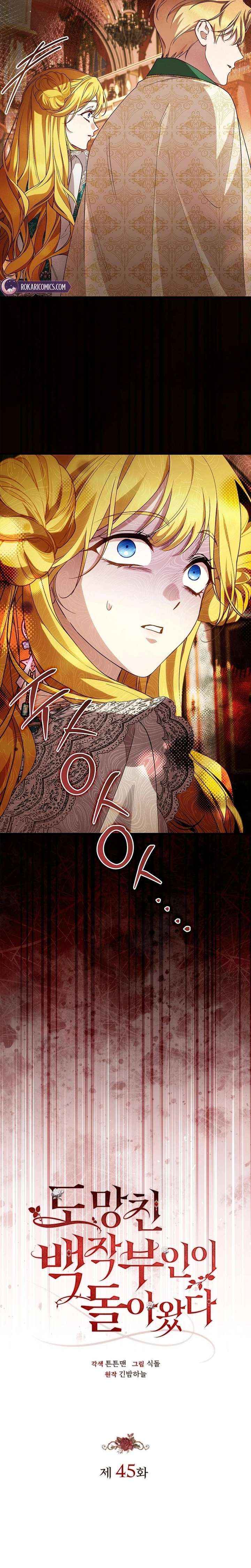 Read The Runaway Countess Has Returned Manga Online