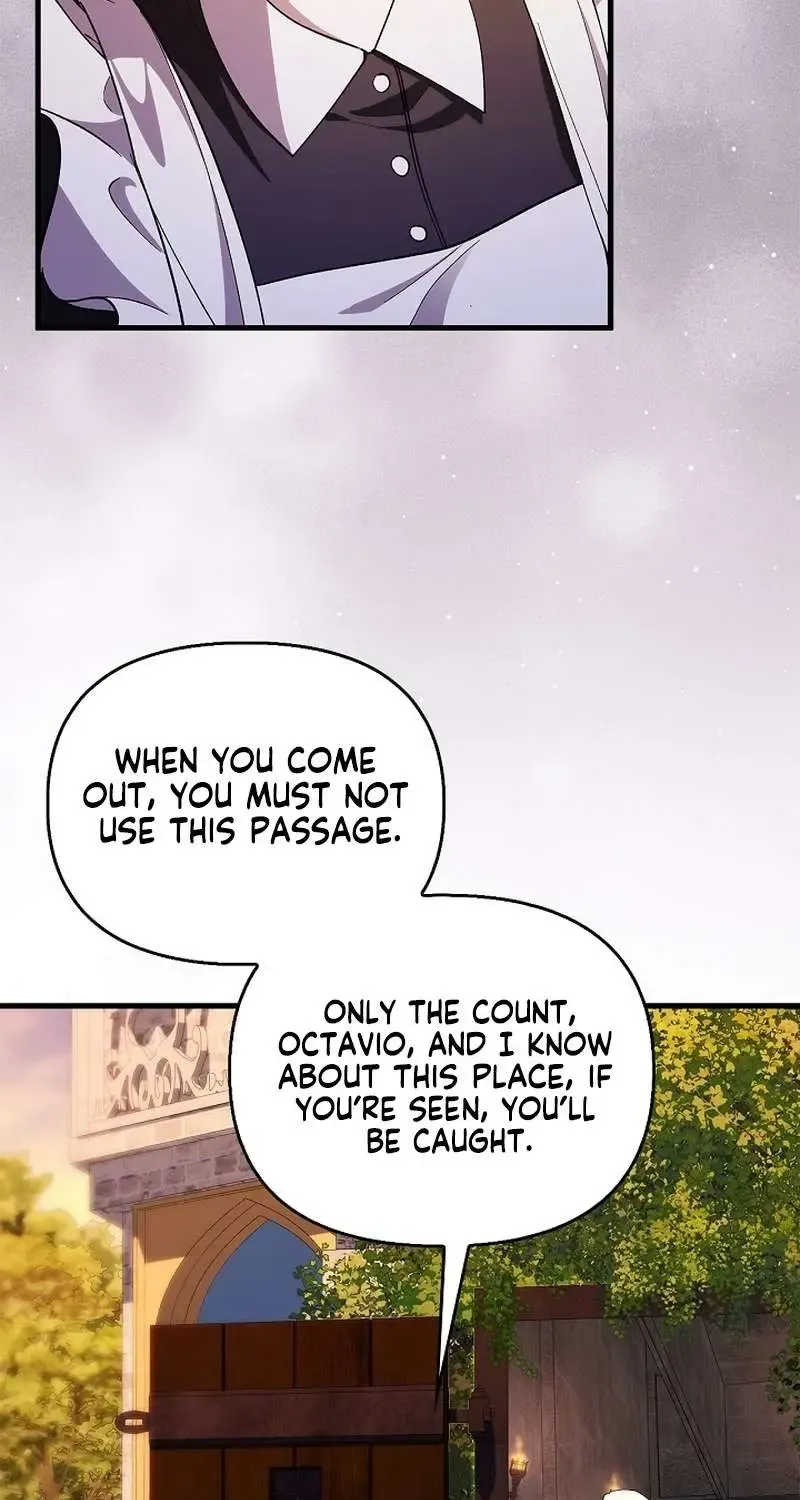 Read The Runaway Countess Has Returned Manga Online