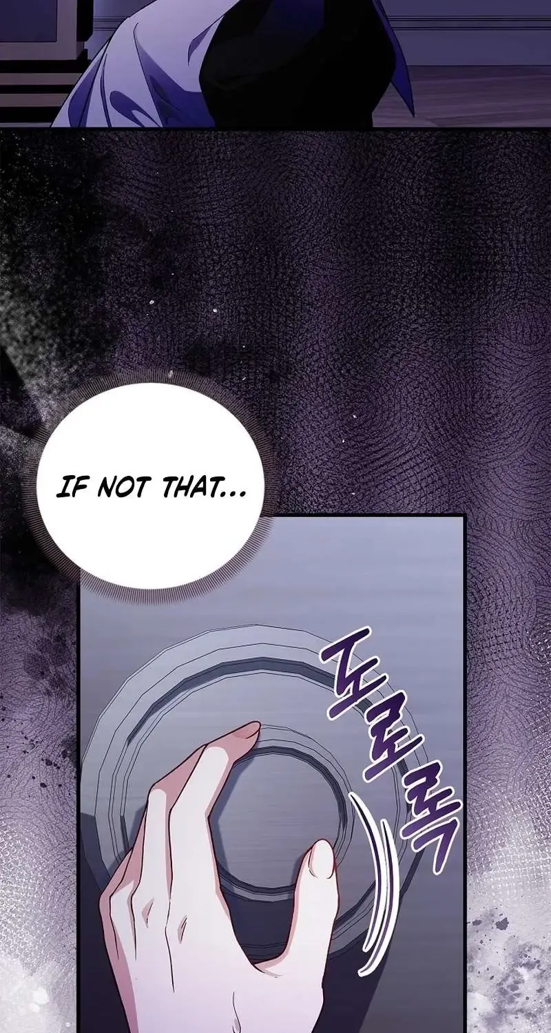 Read The Runaway Countess Has Returned Manga Online