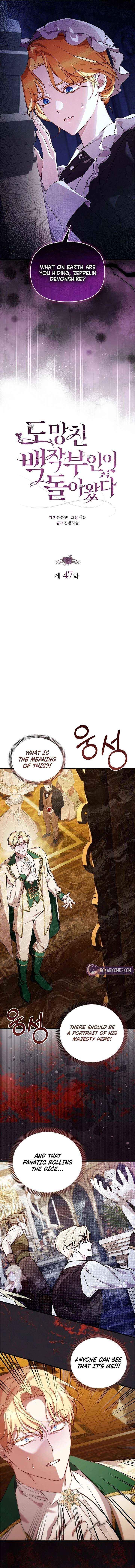 Read The Runaway Countess Has Returned Manga Online