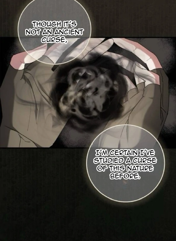 Read The Saintess And The Curse Manga Online