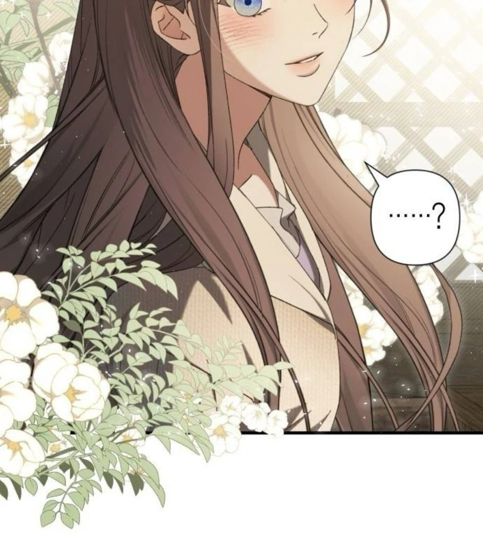 Read The Saintess And The Curse Manga Online
