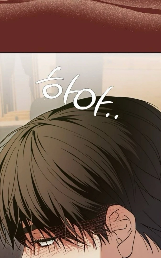 Read The Saintess And The Curse Manga Online