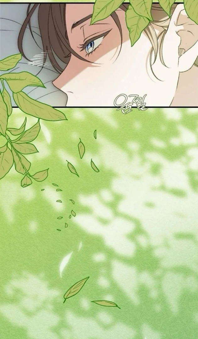 Read The Saintess And The Curse Manga Online