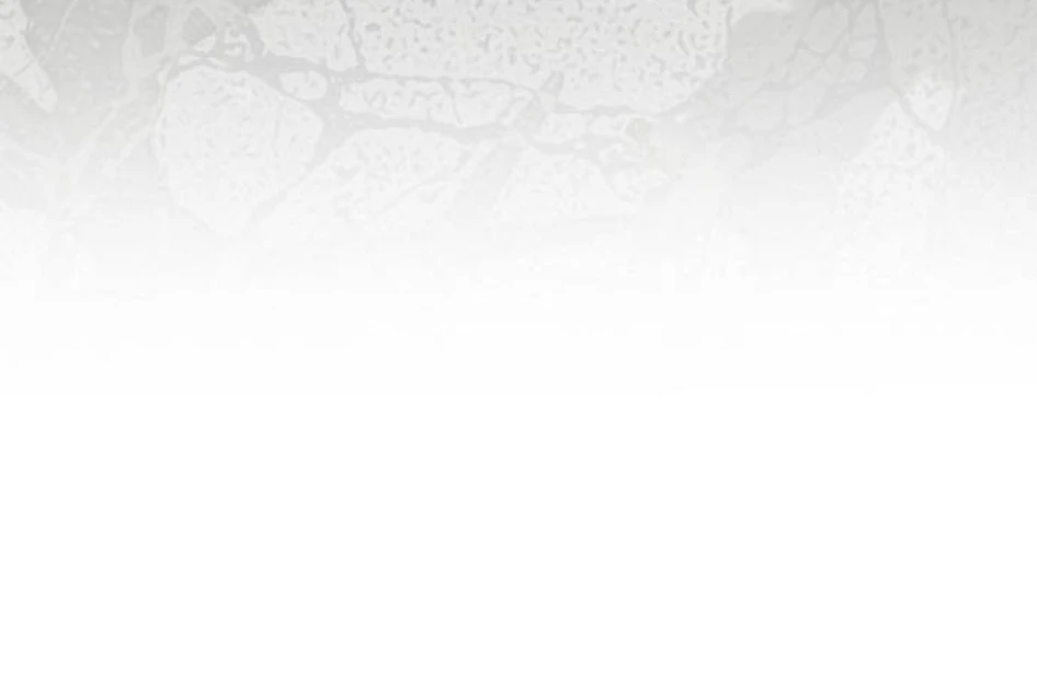 Read The Saintess And The Curse Manga Online