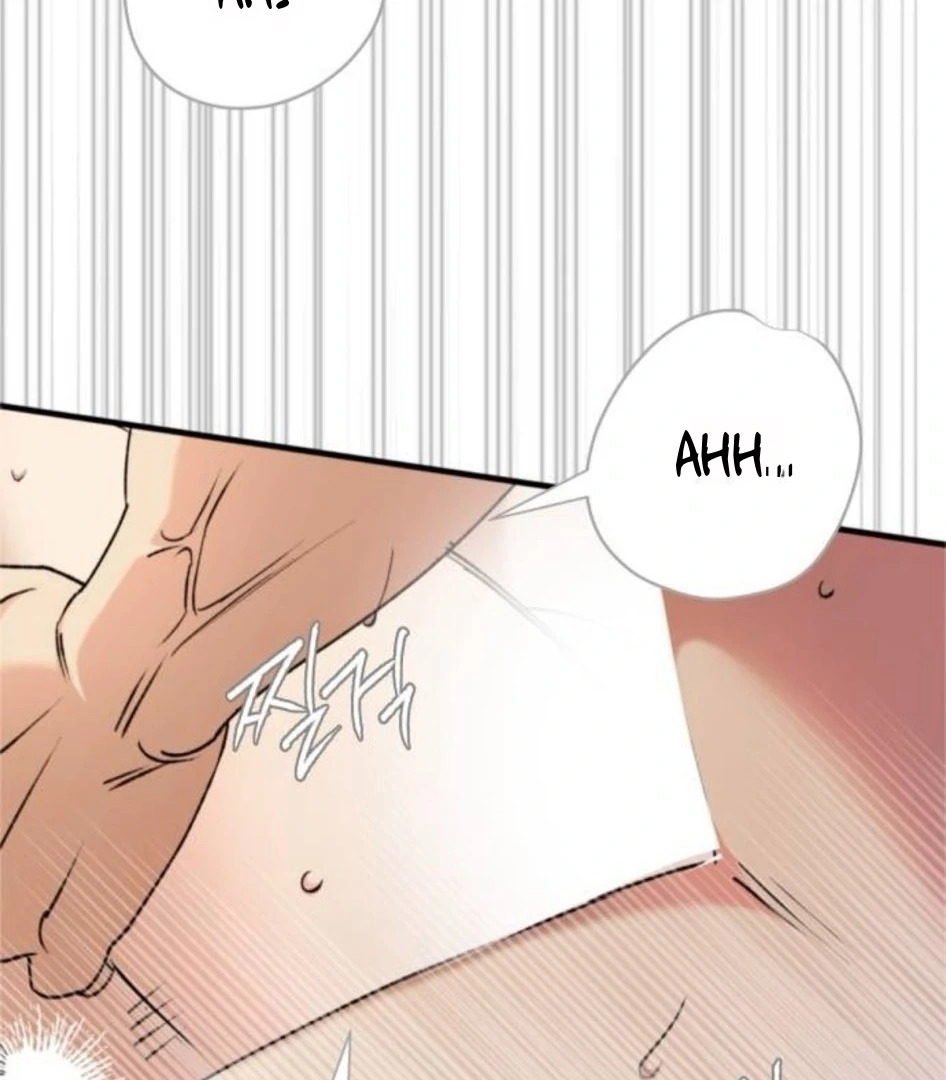 Read The Saintess And The Curse Manga Online