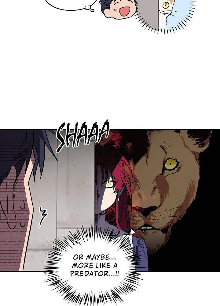 Read The Spark in Your Eyes Manga Online