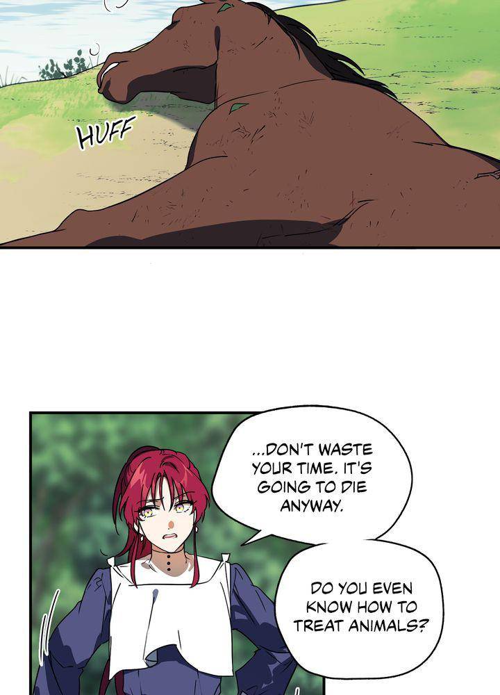 Read The Spark in Your Eyes Manga Online