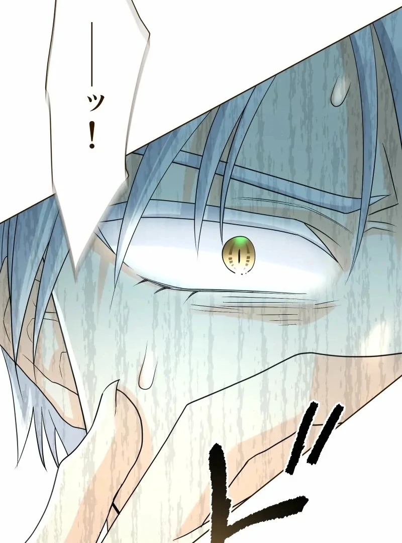 Read The White Wolf’s Bride Manga Online