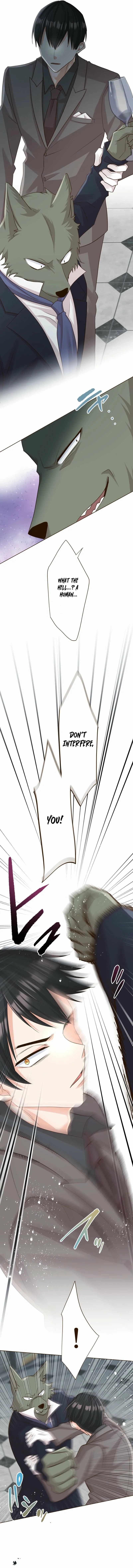 Read The White Wolf’s Bride Manga Online