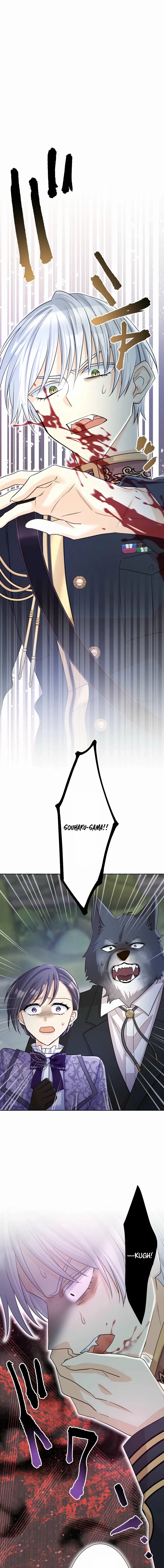 Read The White Wolf’s Bride Manga Online