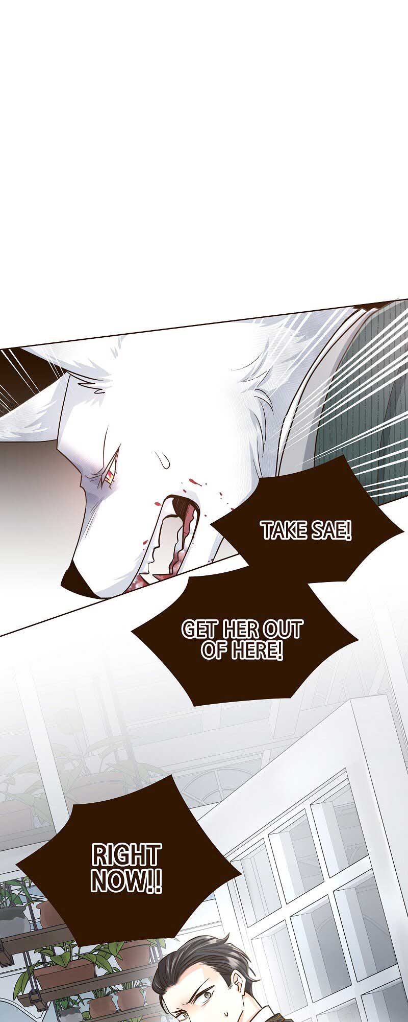 Read The White Wolf’s Bride Manga Online