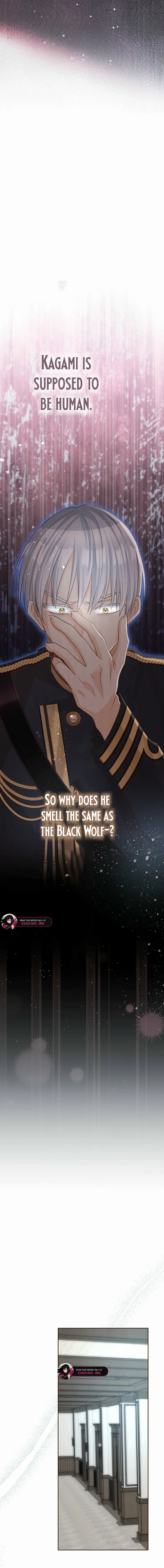 Read The White Wolf’s Bride Manga Online