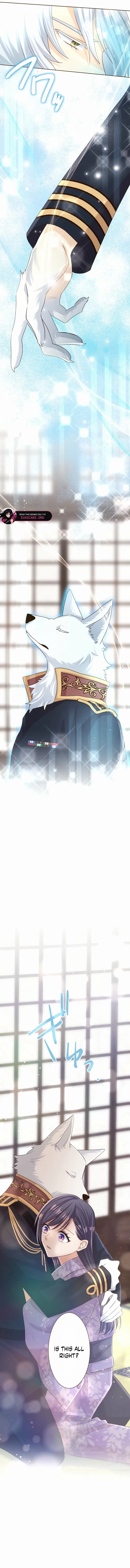 Read The White Wolf’s Bride Manga Online