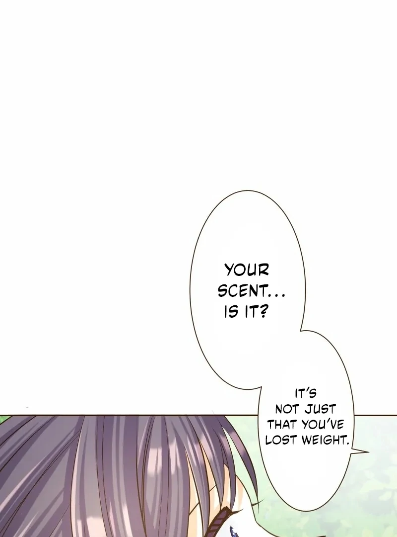 Read The White Wolf’s Bride Manga Online