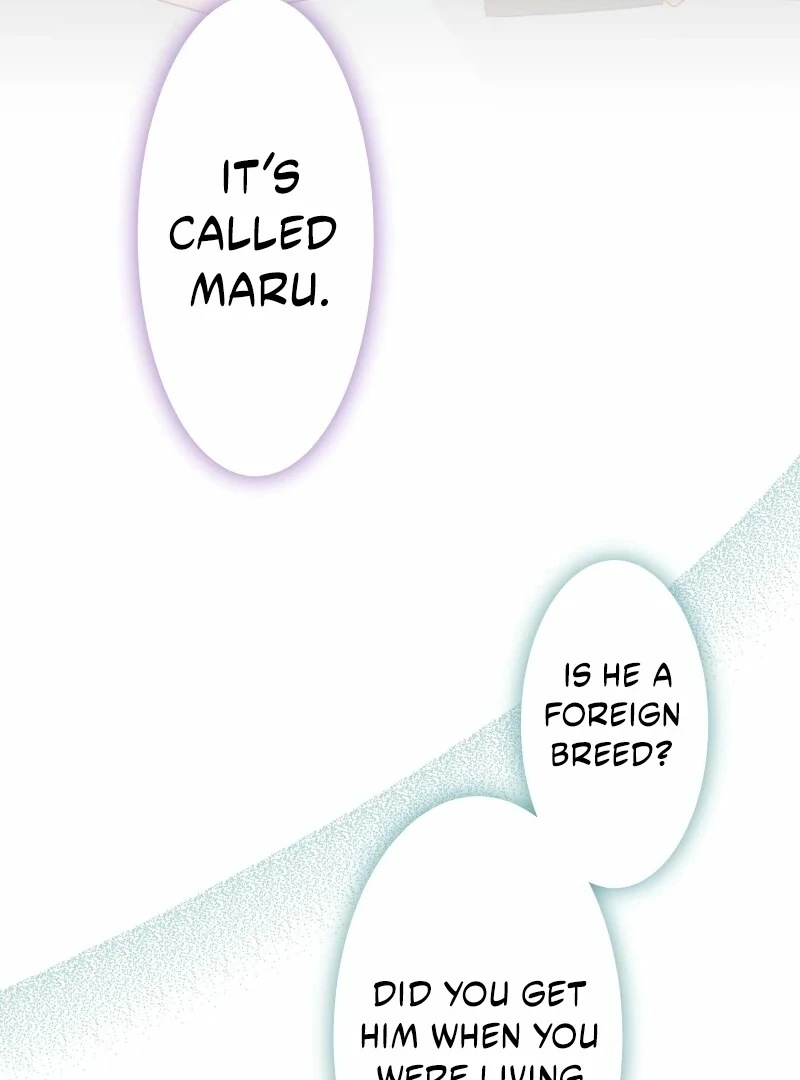 Read The White Wolf’s Bride Manga Online