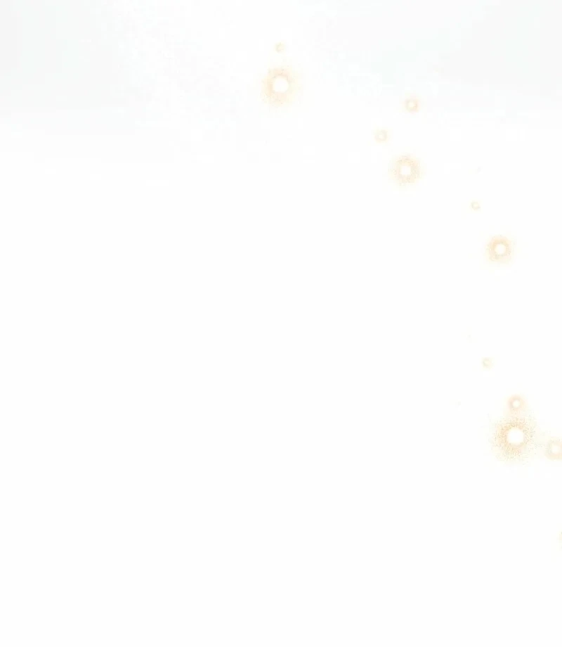 Read The White Wolf’s Bride Manga Online