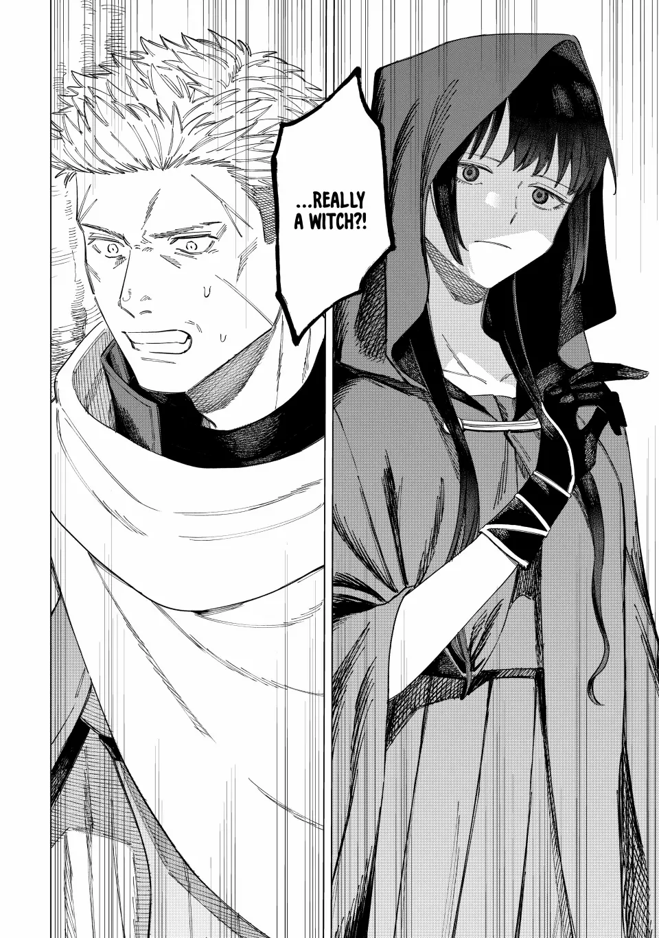 Read The Witch and the Mercenary Manga Online