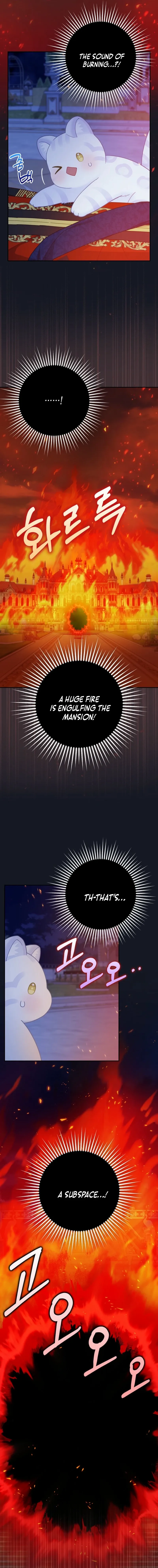 Read The snow leopard baby of the black leopard family Manga Online